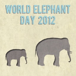 August 12 

Help conserve and protect elephants from poaching and the numerous threats they face! Be aware! Make a difference!