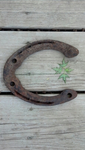 ChelCougill's profile picture. 