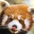 RedPandaReads's profile image
