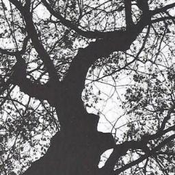 siIversouI's profile picture. 