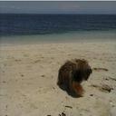 Irene Joyce Salazar - @irenejss - Twitter