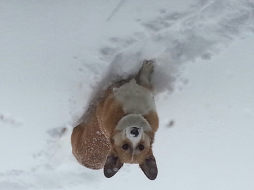 MarijeanArneson's profile picture. 