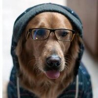 🏳️‍🌈 a programming and knitting dog 🏳️‍🌈 (@myopicmage) 's Twitter Profile