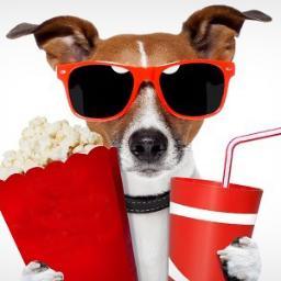 _Supercine_'s profile picture. Una historia debe tener un comienzo, un medio y un fin, pero no necesariamente en ese orden.