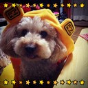 mi~ (@0603mk) Twitter