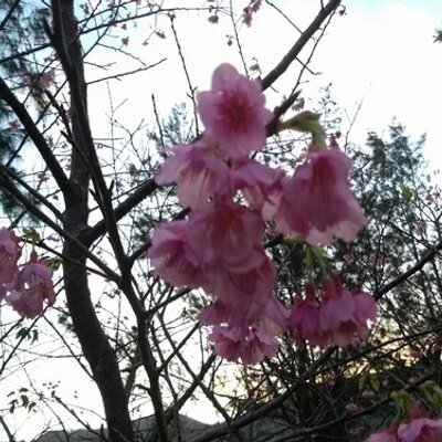ぷあぞん Toriaezu4love3 Twitter ぷあぞん Toriaezu4love3 Twitter