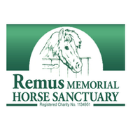 RemusHorse Sanctuary (@remushorse) 's Twitter Profile Photo RemusHorse Sanctuary (@remushorse) 's Twitter Profile Photo