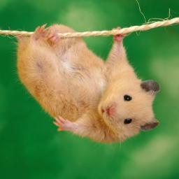 Paula_grb's profile picture. 