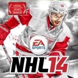 NHL14Datsyuk's profile picture. 
