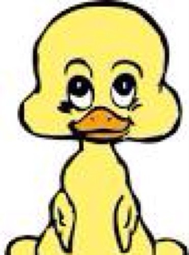 DuckDancing's profile picture. The Duck that matters