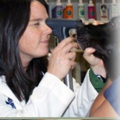 MarinaPetHosp's profile picture. At Marina Pet Hospital, we are committed to the highest quality of veterinary care for your special friend.  (415) 921-0410