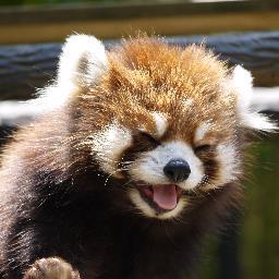 kengoro4541's profile picture. 