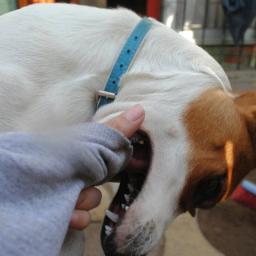 TaniaSilvaP's profile picture. 