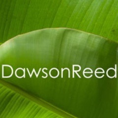 DawsonReed's profile picture. IT program and project management by leading and inspiring the ability in people.