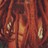 zvonarik_ksu's profile image
