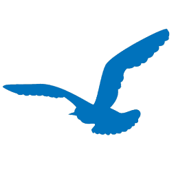 ONECLOUDFEST's profile picture. tweeting mainly + sometimes obsessively about films showcasing at our festival. happy following!