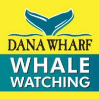 Dana Wharf(@DanaWharf) 's Twitter Profileg