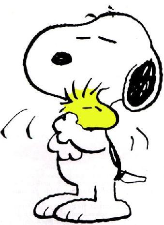 JalyAndy's profile picture. 