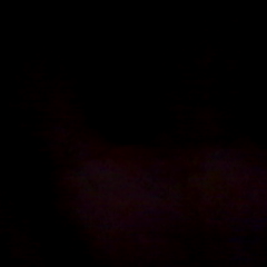 JenarRespati's profile picture. 