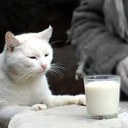 joe halliday - @joehalliday97 - Twitter