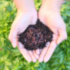 GardeningGoods's profile picture. Digging around the Net for great deals on Gardening Supplies. I 100% FOLLOW BACK