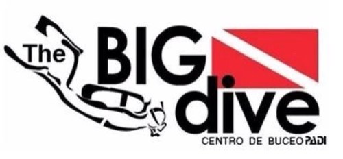 Brindamos cursos de Buceo respaldados por mas de 17 años por la Asociación Profesional de Instructores de Buceo PADI, renta de equipo y viajes de buceo.