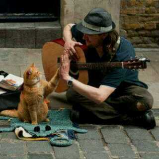 mojarad_ensan45's profile picture. اخيرا استرجعت حسابي بعد ما كان مهكر