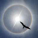 Christopher Prather - @uk_lynx3 - Twitter