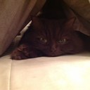 Barbara Knauer - @AgentKnauer - Twitter