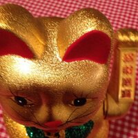 kung FU (@jinnegenie) 's Twitter Profile