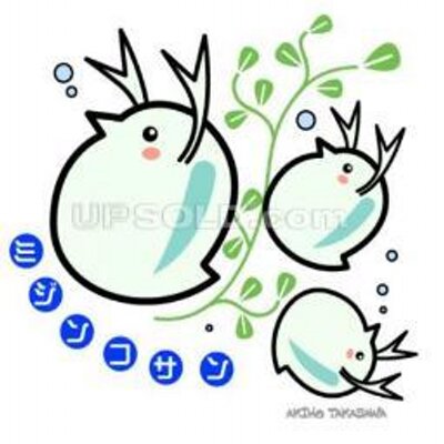 ミジンコ🎣 (@mijinko_mk2) / Posts / X