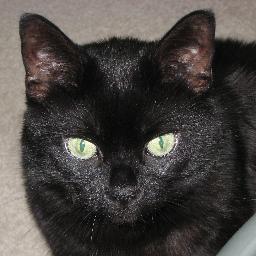 CatSage's profile picture. Christian Conservative
 ❤️ Freedom! ❤️Trump! 
  #MAGA Trump 2024‼️
  #AmericaFirst! ❤️🇺🇸✝️
  1JUSTICE 4ALL!
& All The People Said Amen! ✝️