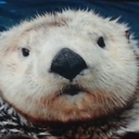 Jo Green - @DNwhAtever - Twitter