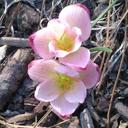 Ana Laura Raya - @Anne_Raya - Twitter