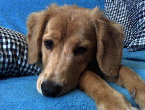 hetie1000's profile picture. Krotitelka puberty a totální flegmatik.