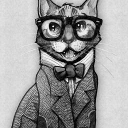 OfficePussitics's profile picture. This office building is full of cats!