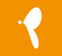 DIseño Fotografía Web