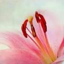 mandy drews - @mandydrewsnrp - Twitter