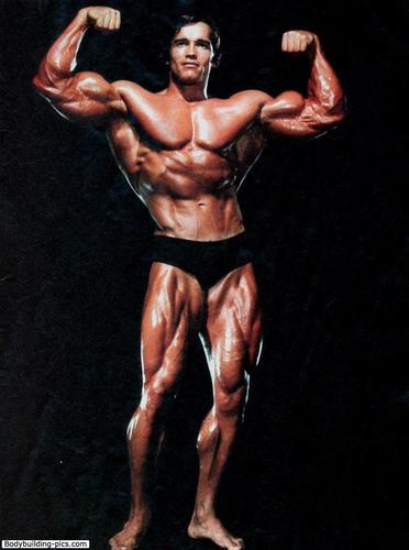 gym is my passion, here to inspire
#fitfam