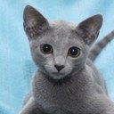 Terry Katz - @Coolforkatz - Twitter