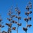 FlaxgardenNZ's profile image