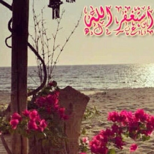 اغرد بيومياتى وبعض الحروف المقتبسه...