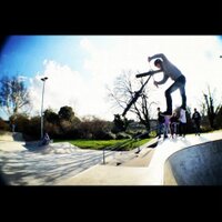 Harrison (@carrotreynolds) 's Twitter Profile