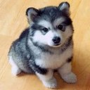 Gary Timberlake - @timberlake_gary - Twitter