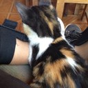 marcela pedraza - @kontanza_m - Twitter