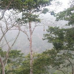 ysa0274's profile picture. Yaracuy/Venezuela
F/N.02/04/74
Estudiante de Contaduría