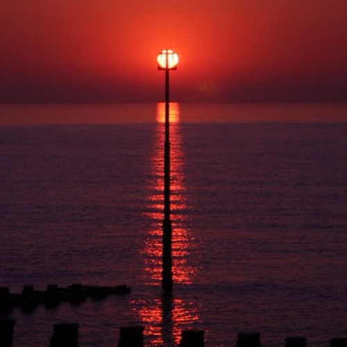 Dna79D's profile picture. 