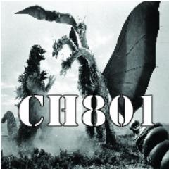 Channel 801 is a new avenue for local Utah film makers to premier their work and meet other Utah film makers.