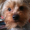 Jan Flaherty - @jan_flaherty - Twitter