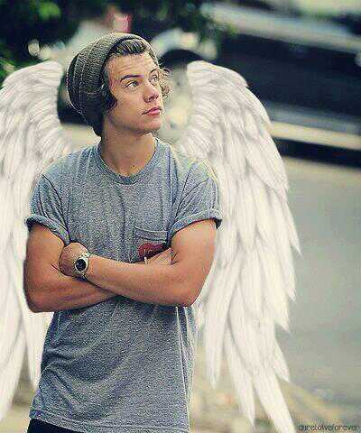 #Directioner y #Lovatic, Cuatro ingleses me robaron en corazón y un irlandes se lo comió. Stay Strong †